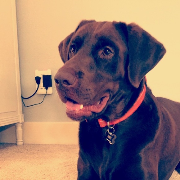 Meet your Posher, Kaitlyn - Picture 1 of 1